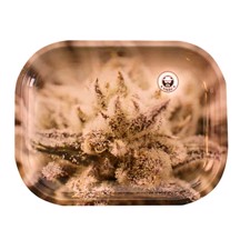 Heisenberg - Ganja